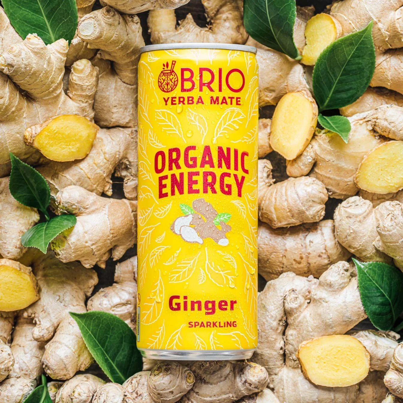 ginger flavor product picture surrounded by ginger fruits