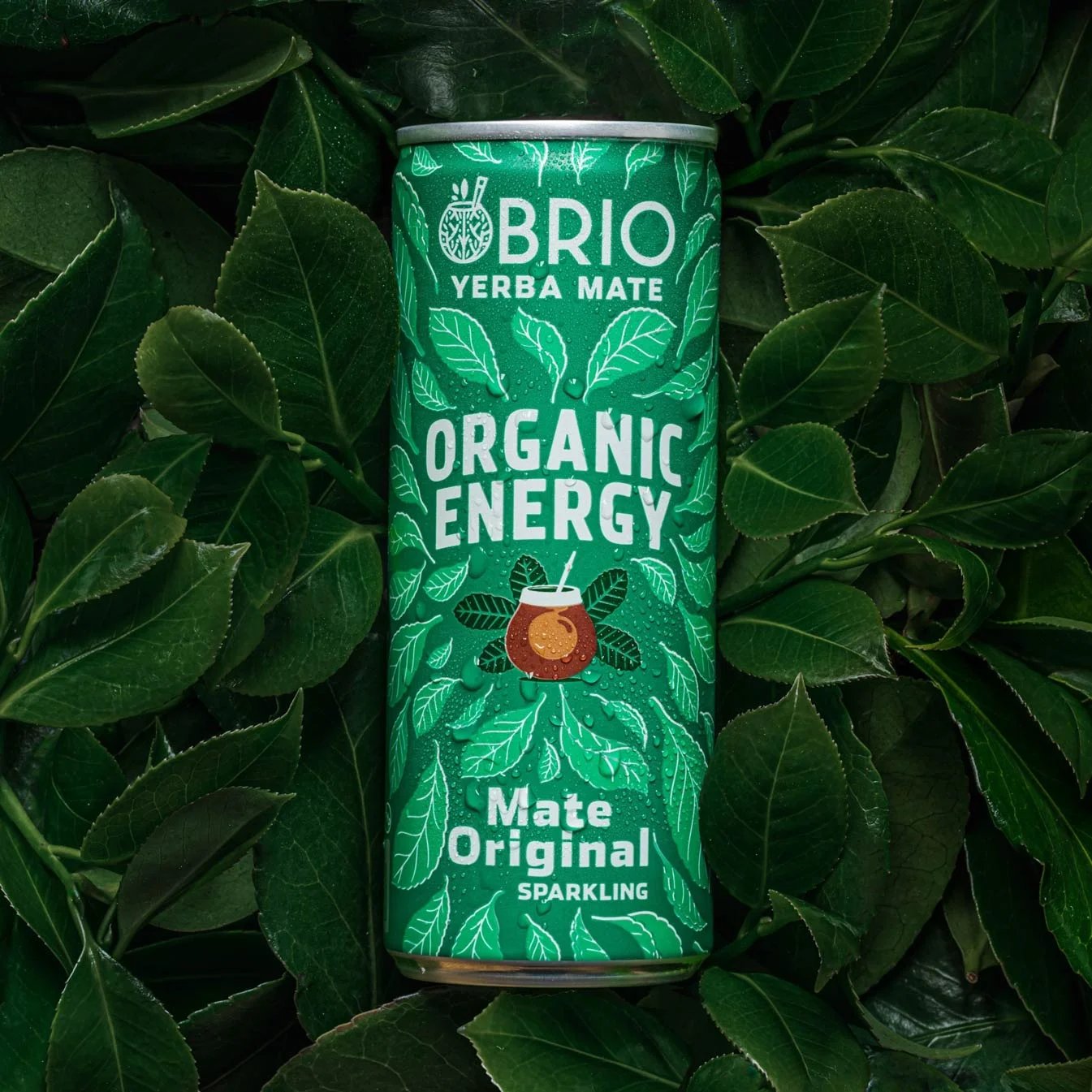 original flavor product picture surrounded by yerba mate leaves